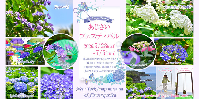 伊豆・城ヶ崎海岸のニューヨークランプミュージアムで「あじさいフェスティバル」を開催（2026.5/23～7/5）！ 自生種「城ケ崎」をはじめ200種以上の多彩な品種とアンブレラスカイが梅雨を彩る