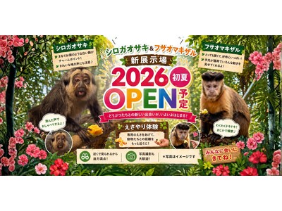【伊豆シャボテンリゾート株式会社50周年記念事業】伊豆シャボテン動物公園に新エリア誕生！シロガオサキとフ...