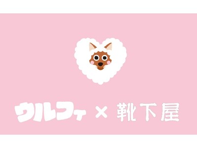 メ～テレのキャラクター「ウルフィ」×靴下屋のコラボ靴下、「ドデ祭2025」で先行販売