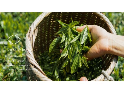 TeaRoomより 2023年産 新茶 の予約販売を開始