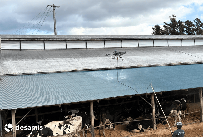 デザミス、宮城県酪初のドローンを活用した暑熱対策事業を実施