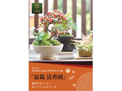 新宿マルイ メンにて、盆栽「清香園」ワークショップ・展示販売を開催！