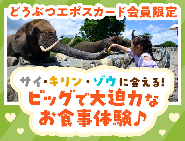 好き」が“ごはん”になる瞬間を体験！どうぶつエポスカード初の会員限定