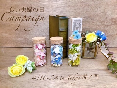 プロポーズのバラの花束を半永久的に保存加工「シンフラワー」よい夫婦の日キャンペーン開催のお知らせ