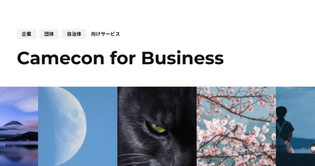 ƁÊPRT|[gg咆IFmE͔MtHgReXgAvwCamecon for BusinessxŎ\ɁI