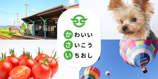 wCameconxɂĕɌs()ẪReXgJÒIIe[}ɉĉs̖͂⎩̎ʐ^𓊍eƁws̕ԗix炦`XIII