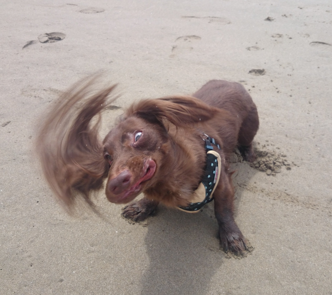 肭Ȏʐ^LIHtHgReXgAvCamecon(JR) ɂČ^jȃtHgReXǧʔ\JItHgOt@[̃Gs\[htʐ^ʔI