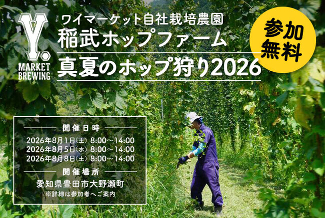 愛知県産ホップをみんなで収穫体験。