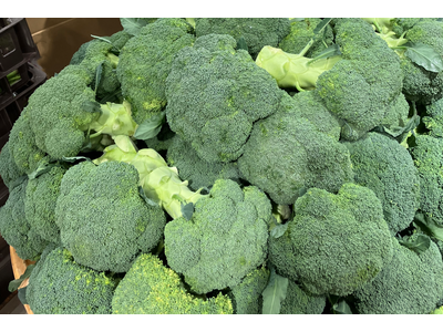 ブロッコリー、約52年ぶりに新たな「指定野菜」へ｜2月の出荷件数は最高水準、価格も安定
