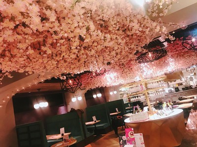 【ESOLA新宿】2月16日より天井を桜で装飾した「お花見仕様」に。「桜フェア」第1弾　生ハム or ガーリックトーストの「てんこ盛り」スタート！