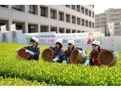 【埼玉県入間市】”市役所の茶畑”で新茶を五感で体感する「八十八夜　新茶まつり」開催