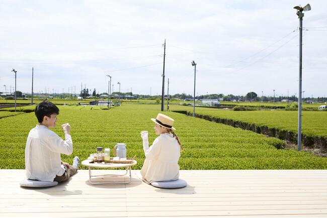 日本三大銘茶「狭山茶」を五感で味わう！主産地入間が誇る、日本の絶景「茶畑テラス」楽しみかたのいろいろ