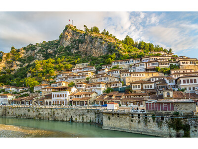 �Ȃ����A�A���o�j�A�H�H ���n���s��Ќ��I�I�g���[���b�p�Ō�̔鋫�h �A���o�j�A�̊ό������L���O�𔭕\�B