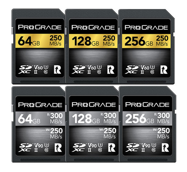 SDXC UHS-II V60 GOLDJ[h/V90 COBALTJ[hSeʂ10%OFFN[|Z[{