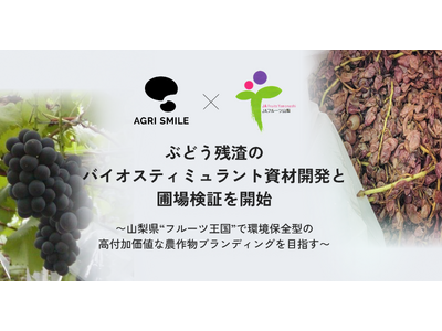 AGRI SMILE、JAフルーツ山梨とともにぶどう残渣のバイオスティミュラント資材開発と圃場検証を開始