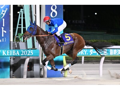 10月7日（水）3歳ダート三冠競走最終戦「ジャパンダートクラシック（JpnI）」出走馬16頭と枠順が決定！！JRA・フィンガーが新ダート体系創設後、初の三冠達成なるか