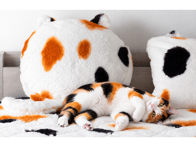 累計販売3.8万突破の『もはや、ねこ。』に“三毛猫”登場！白・黒・オレンジの模様や暖かさまで、本気で猫らしさを追求