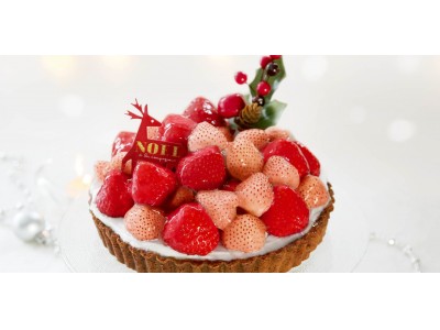 【ア・ラ・カンパーニュ】まさに四ツ星級！！希少な２種のイチゴを使用したクリスマスケーキの予約受付が開始。