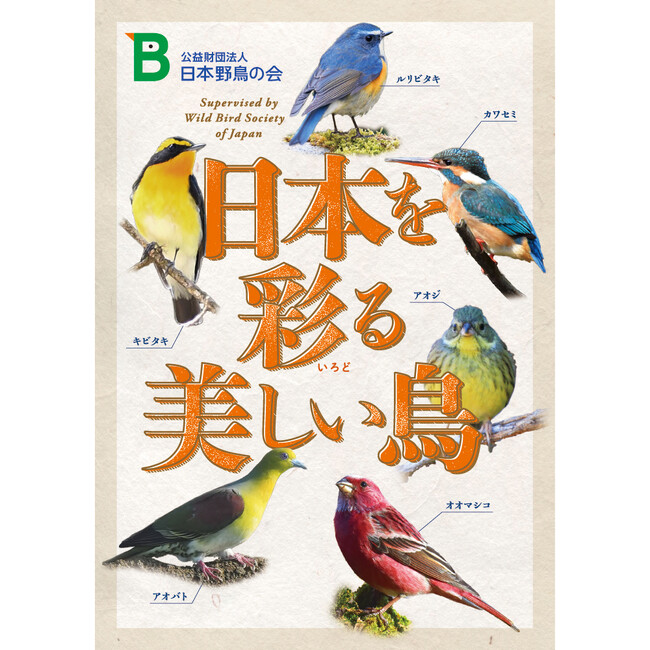 プレスリリース「色とりどりの野鳥たちを楽しめるポスター『日本を彩る美しい鳥』を無料プレゼント！」のイメージ画像