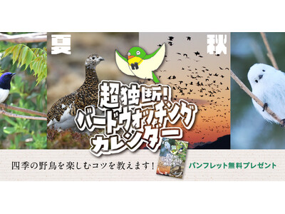 バードウォッチングの一年がわかる！パンフレット『超独断！バードウォッチングカレンダー』を無料プレゼント！