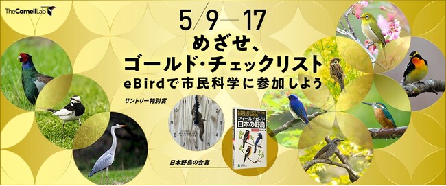 プレスリリース「愛鳥週間！めざせ、ゴールド・チェックリスト～eBirdで市民科学に参加しよう～」のイメージ画像