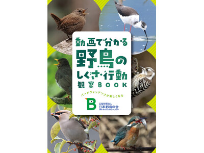 ���{�쒹�̉� �V�p���t���b�g�w����ŕ�����쒹�̂������E�s���ώ@BOOK�x�𖳗��v���[���g�I