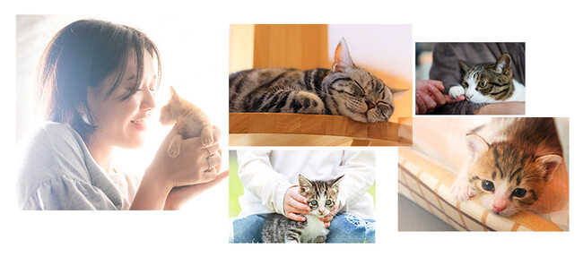 L̃gCpmEʒmNǗT|[gIoT\[VulR~v[X