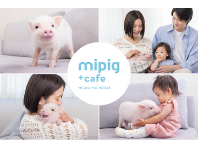 北陸初出店！マイクロブタカフェ『mipig cafe』イオンモール高岡に2026年4月24日（金）オープン