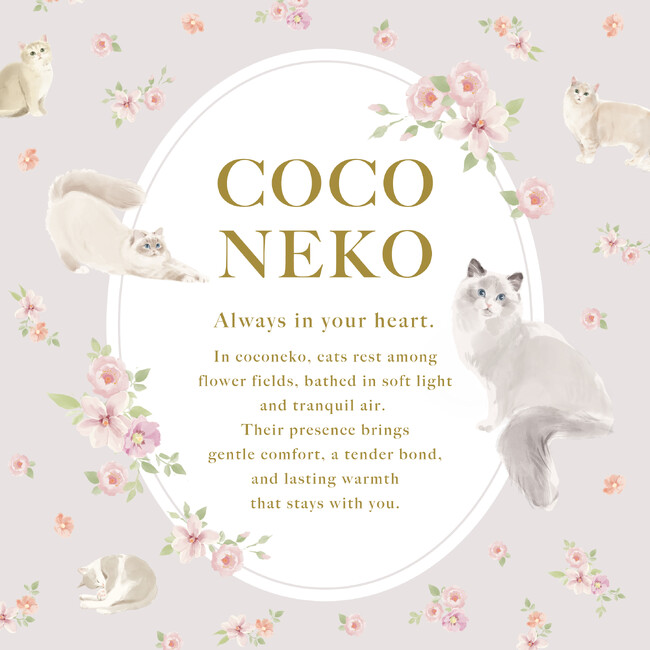 THREEPPY、オリジナルデザイン「COCO NEKO」シリーズが誕生