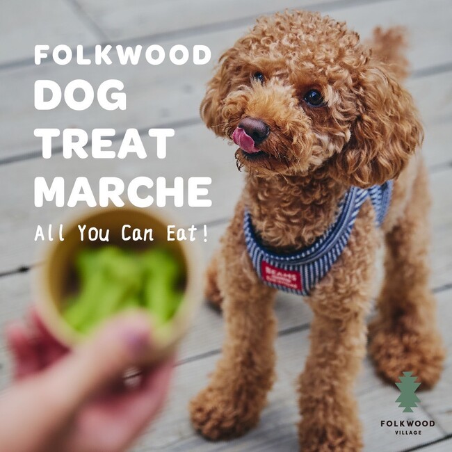 【わんちゃんと一緒に楽しむ！】FOLKWOOD VILLAGEで、わんちゃんの“おやつマルシェ”がスタート。