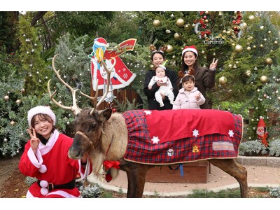 【ポートピアホテル】 本物のトナカイと出会える、特別な宿泊プランが登場。トナカイグリーティング付！神戸ど...