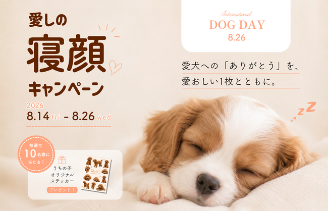 The Mate Tokyo、国際犬の日に合わせて愛犬の寝顔を募集する「愛しの寝顔キャンペーン」を8月14日より開催