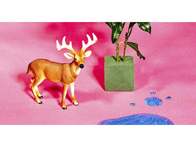 フォトグラファーAKANE、写真展「Supersupercalifragilisticexpialido...