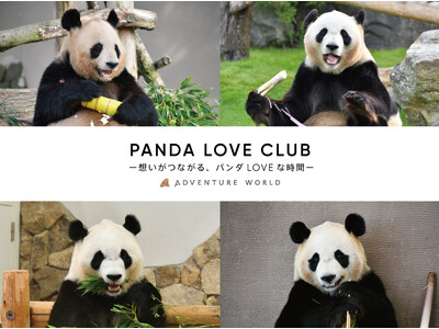 PANDA LOVE CLUB ー想いがつながる、パンダLOVEな時間ー “ありがとう”と“大好き”が広...