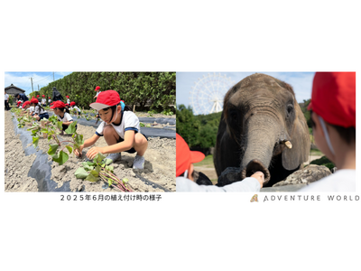 動物たちと食育体験　すさみ町立周参見小学校の児童が自分たちで植えたサツマイモを収穫しアドベンチャーワールドの動物たちへプレゼント