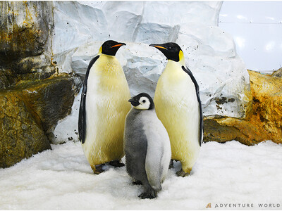 ���E���A�G���y���[�y���M���̐l�H�����ŗL�����̊m�F�ɐ����@��̕ۑ��ƔɐB�Z�p�̊m���Ɍ������傫�Ȉ��