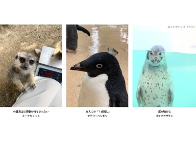 【極秘公開】スタッフのカメラロール流出！？展 ～あの動物の「素顔」は、もっと面白い。～SHIRAHAMA...