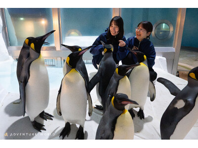 アドベンチャーワールドでしか体験できない「極地探検ツアー ～penguin nice to meet yotour～」誕生