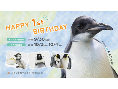 コウテイペンギンのこども「よよちゃん」が、１歳を迎えます！絶滅危惧種の小さないのちが、皆様に見守られ成長...