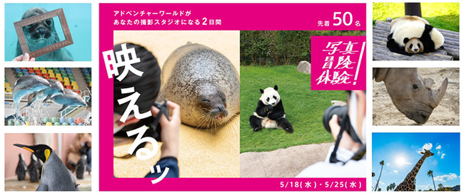 wʐ^I`ǏIAhx`[[hxvWFNg@x̃p[NAȂ̎BeX^WIɂȂQԁI@s[g]POO%I@D]ɂQJÁII