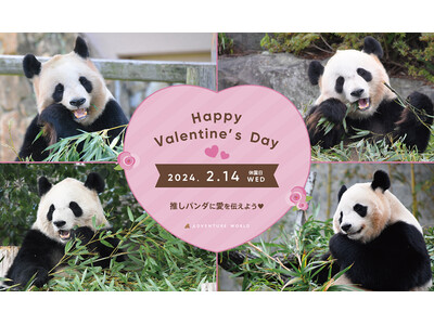 ＼ バレンタインは推しパンダへ愛を伝えよう ／パンダファミリー ファンイベントを休園日のパークで開催　２０２４年２月１４日（水・休園日）