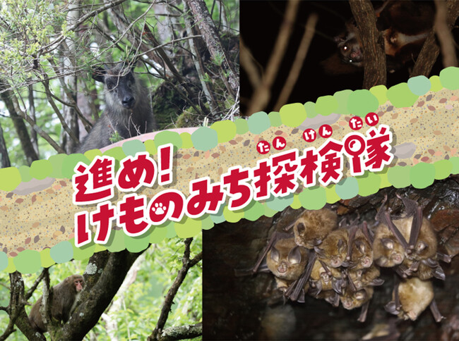 意外と知らない？「和歌山のどうぶつたち」って面白い！和歌山県立自然博物館 特別企画展「進め！けものみち探検隊」開催 -２０２４年２月２２日（木）～５月６日（月）-