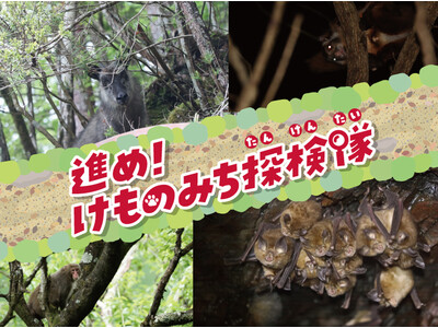 意外と知らない？「和歌山のどうぶつたち」って面白い！和歌山県立自然博物館 特別企画展「進め！けものみち探...