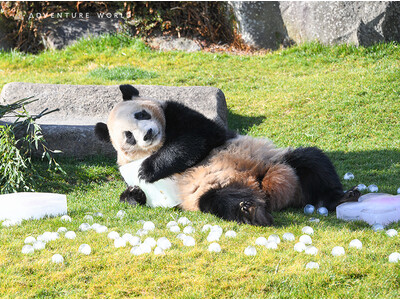 みんなのこころにあかりをつけましょ～♪３歳の「楓浜（ふうひん）」と３月３日にひなまつり！公式YouTub...