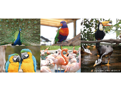 【鳥インフルエンザ対策を解除】鳥類の展示・アトラクションを２０２４年５月２日（木）より順次再開いたします