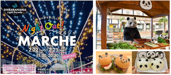イルミネーション&花火が彩る冬の白浜!「Night Out! MARCHE」に出店パンダのキャラクター「すみれ(Smile)」も屋台パンダの店長として特別出張!