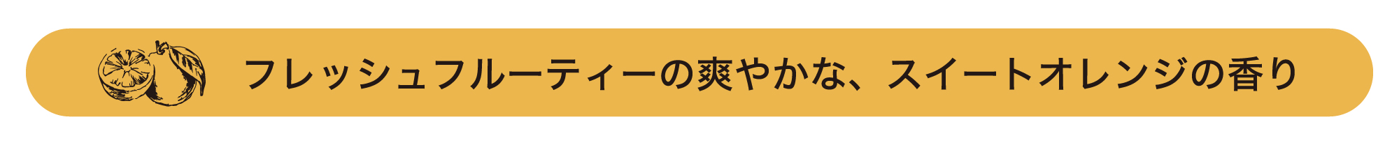 【酵素洗顔 BALANCE】暑い夏も爽やか素肌に！フルーティーなスイートオレンジの香りが新登場！