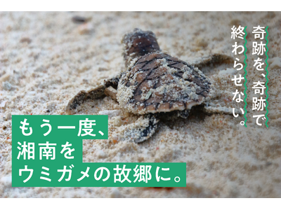【もう一度、湘南をウミガメの故郷に】プラごみから生まれたプラモデル「RePLAMO」クラウドファンディング開始