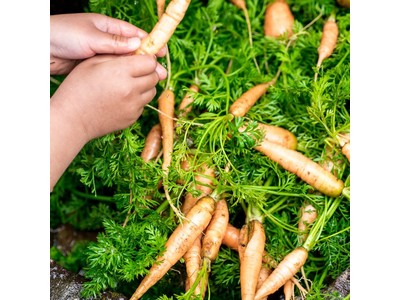 どうして、ふぞろいの野菜たちは、捨てられる？三浦半島・湘南からやってくる！見て、知って、触って。緑広がる一日限りのエシカルマルシェ 2021年3月21日（日）OPEN NAKAMEGUROにて開催