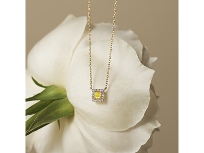 【ヴァンドーム青山】1/30（金）より「Spring Fair」開催